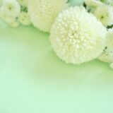 移動火葬車を利用するメリット・懸念点について