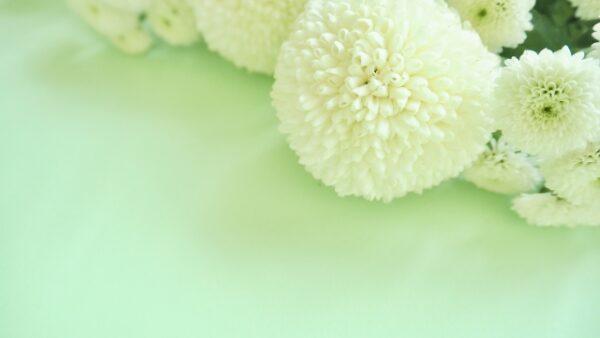 移動火葬車を利用するメリット・懸念点について