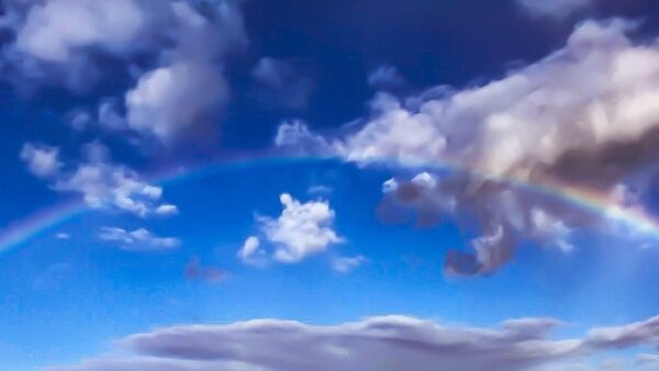 ペットの葬送と宗教について~ペットは亡くなったらどこに行くのか~