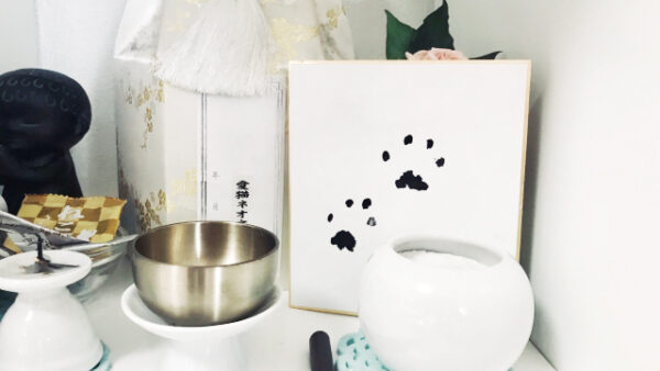 ペット仏具の冬支度——12月に見直す供養環境