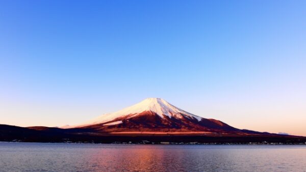 愛するあの子と迎える、はじめての新年。心穏やかに過ごすための「新年の供養」